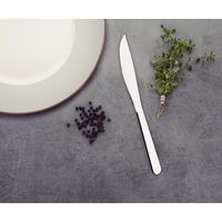 Faca para Churrasco Tramontina Malibu em A&ccedil;o Inox 4" Cor Inox - SKU 23730004 - 3 image number 2