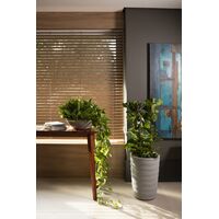 Vaso Tramontina Indi em Polietileno Granito Areia 17 cm Cor Granito areia - SKU 92601000 - 3 image number 2