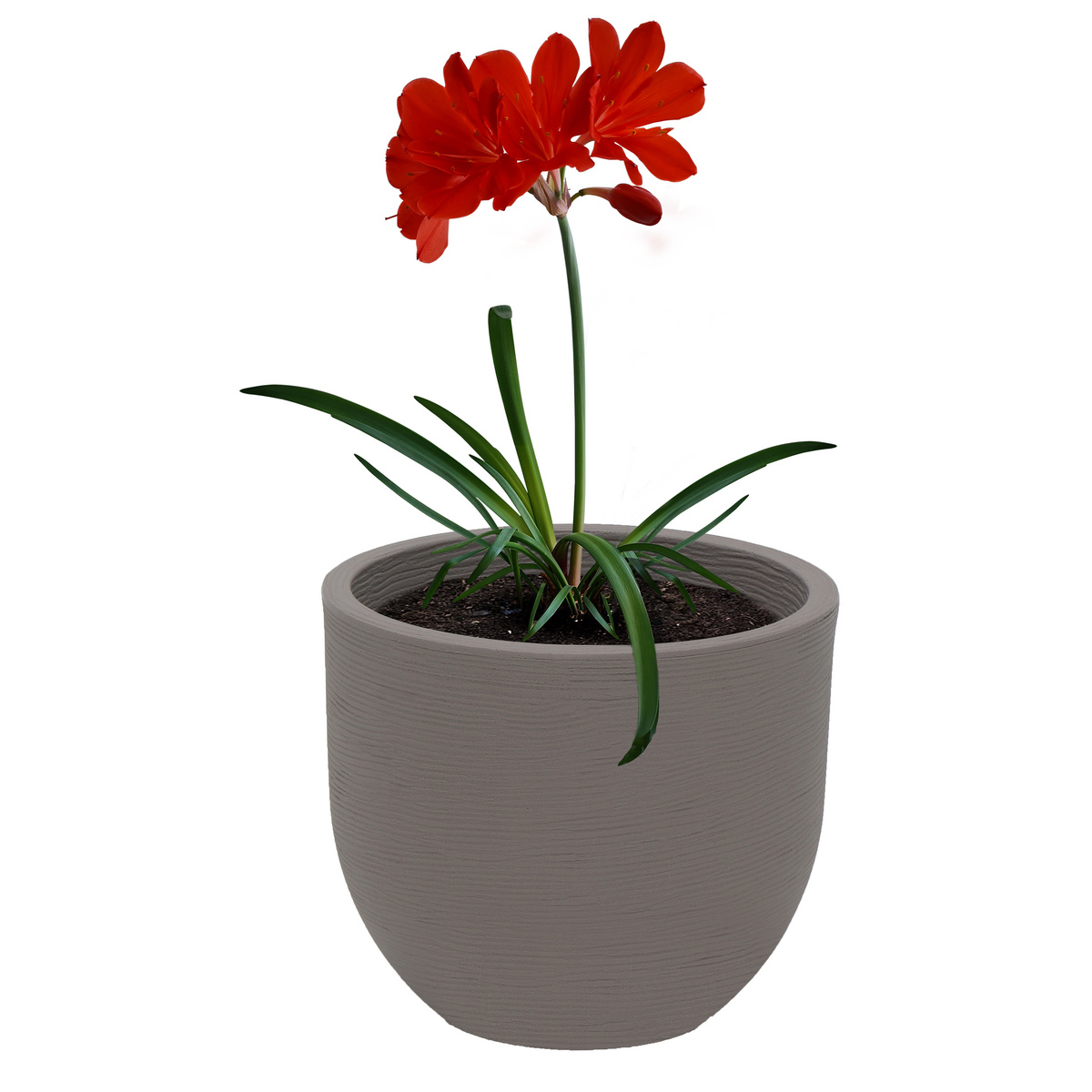 Vaso Tramontina Laos em Polietileno Concreto 28 cm Cor Concreto - SKU 92766210 - 3 image number 2