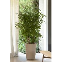 Vaso Tramontina Grego em Polietileno Granito Areia 50 cm Cor Areia - SKU 92782000 - 2 image number 1