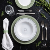 Aparelho de Jantar Tramontina Zenith em Porcelana Decorada 20 Pe&ccedil;as Cor Verde - SKU 96589096 - 6 image number 5