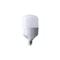 Lámpara LED Tramontina Alta Potencia Base E27 2000 lm 17 W Bivolt 6500 K Luz Blanca