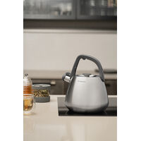 Chaleira Tramontina em A&ccedil;o Inox com Apito e Cabo de Nylon 4 L Cor Inox - SKU 61488400 - 2 image number 1