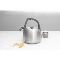 Chaleira Tramontina em A&ccedil;o Inox com Apito e Cabo de Nylon 2,5 L Cor Inox - SKU 61488250 - 5 image number 4