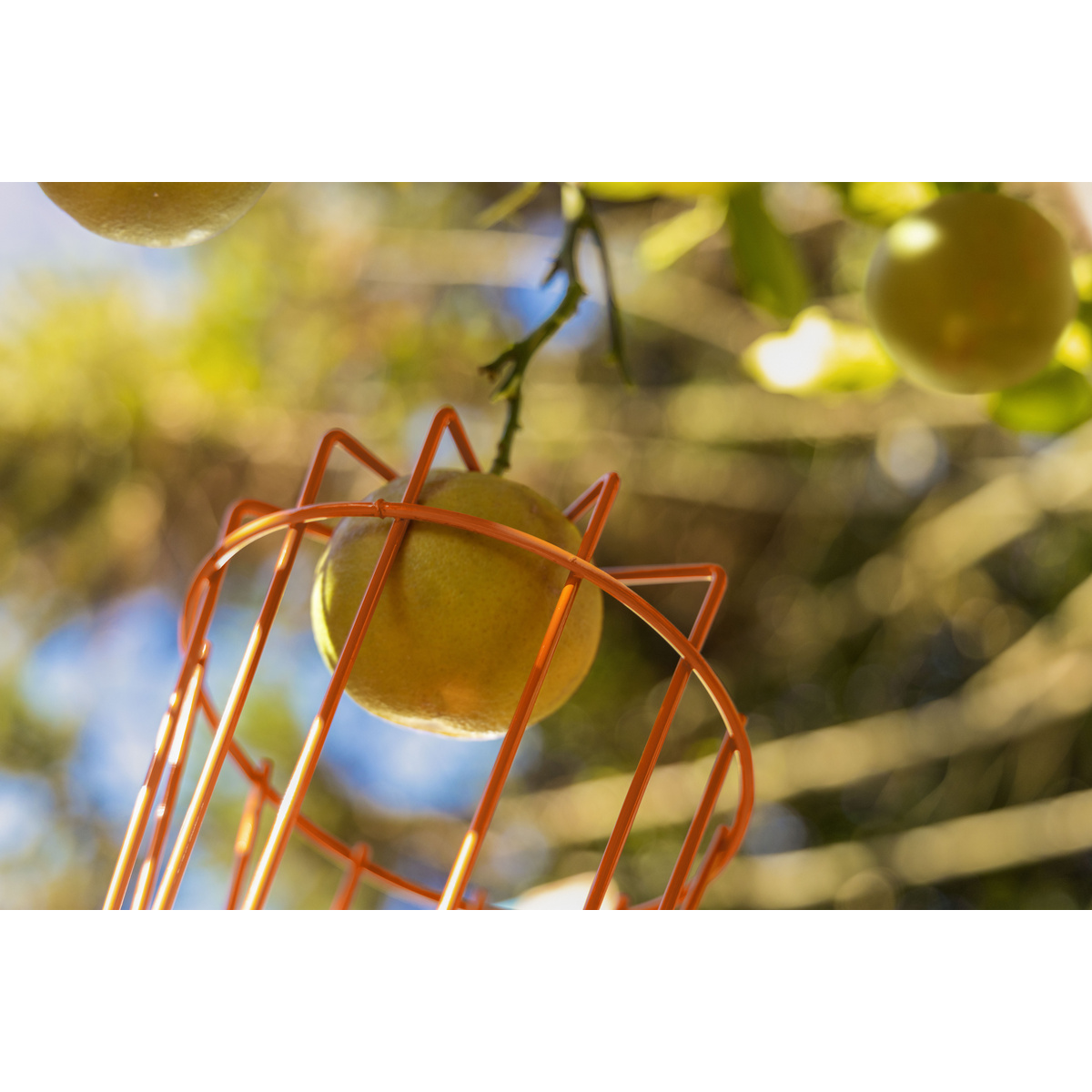 Colhedor de Frutas Tramontina Met&aacute;lico M&eacute;dio Sem Cabo - SKU 77819051 - 2 image number 1