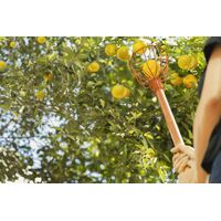 Colhedor de Frutas Tramontina Met&aacute;lico M&eacute;dio Sem Cabo - SKU 77819051 - 4 image number 3