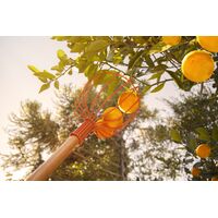 Colhedor de Frutas Tramontina Met&aacute;lico Grande Sem Cabo - SKU 77819101 - 2 image number 1