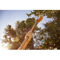 Colhedor de Frutas Tramontina Met&aacute;lico Grande Sem Cabo - SKU 77819101 - 3 image number 2