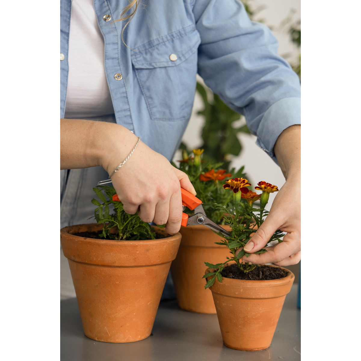 Tesoura para Frutas Tramontina com Cabo Pl&aacute;stico - SKU 78301011 - 2 image number 1