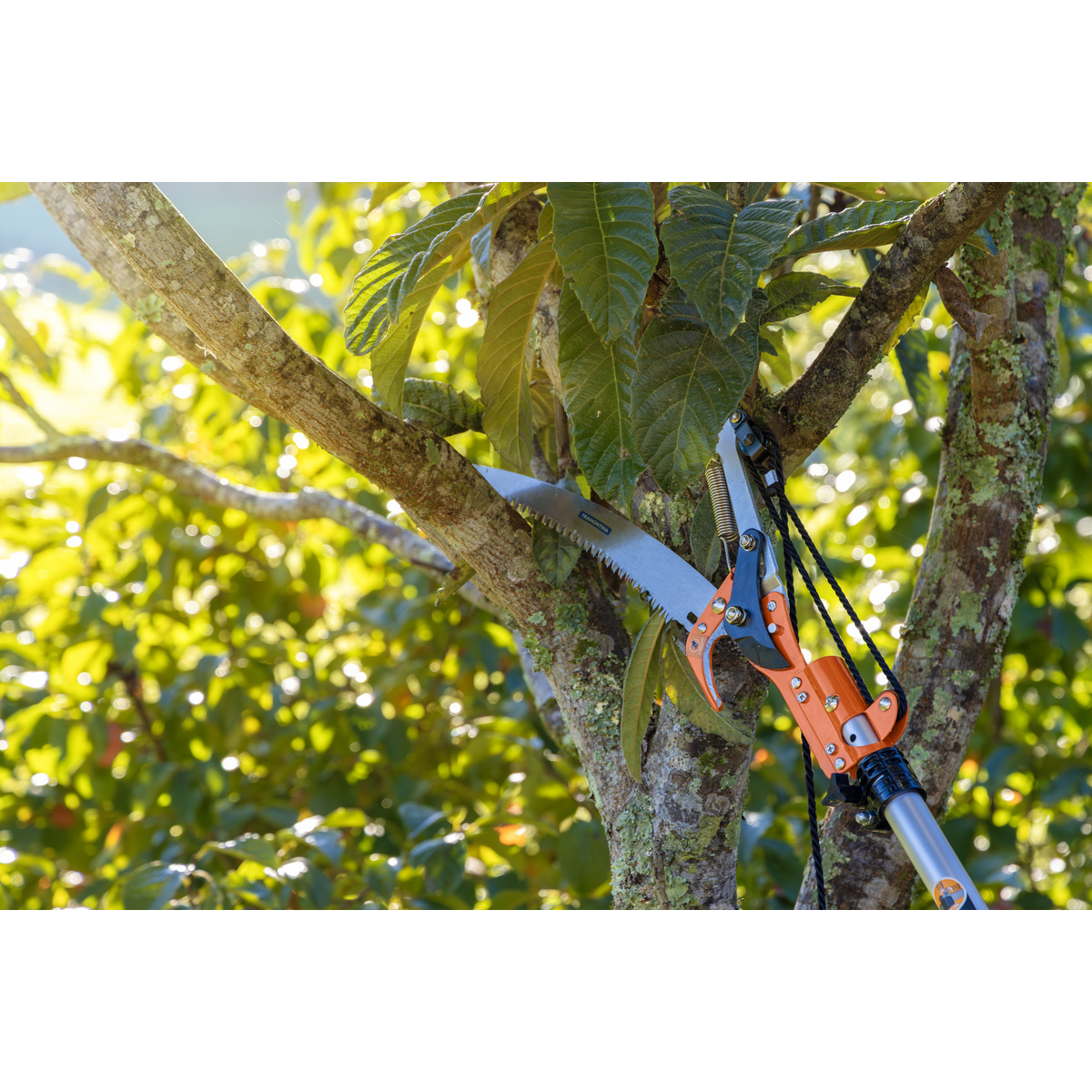 Podador de Galhos com Serrote Profissional 12" / 305 mm Tramontina com Cabo Met&aacute;lico Extens&iacute;vel at&eacute; 3 m - SKU 78380684 - 6 image number 5