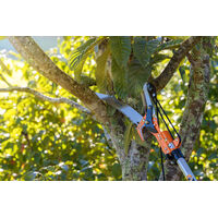 Podador de Galhos com Serrote Profissional 12" / 305 mm Tramontina com Cabo Met&aacute;lico Extens&iacute;vel at&eacute; 3 m - SKU 78380684 - 6 image number 5