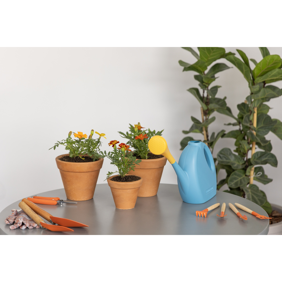 Regador para Jardim Tramontina em Pl&aacute;stico Azul 2 L - SKU 78600022 - 4 image number 3