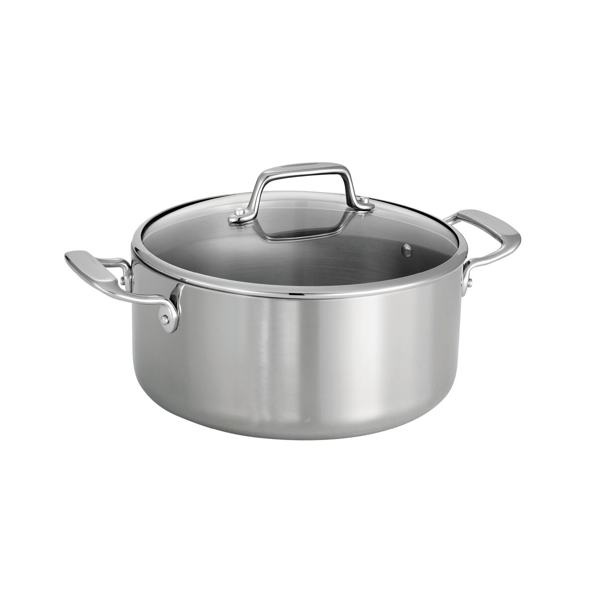 Tri-Ply Clad 5 qt Covered Stainless Steel Dutch Oven