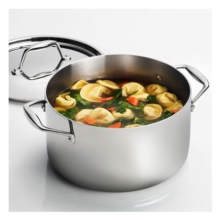 6 Qt Tri-Ply Clad Stainless Steel Covered Sauce Pot